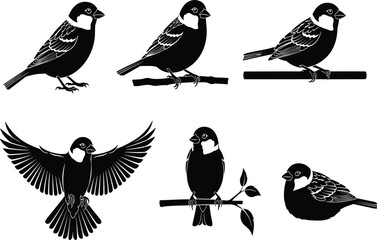 Black bird silhouette illustration, sparrow vector design, flying and sitting birds artwork, decorative wildlife graphic, nature animal clipart element