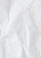 Isolated Torn Paper Texture