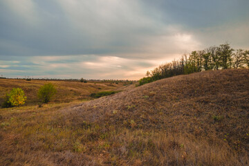 A tranquil landscape with gently rolling hills and a solitary tree glowing in the warm light of a golden autumn sunset.