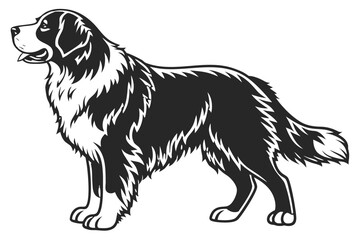Bernese Mountain Dog Silhouette – Vector PNG, Transparent Background