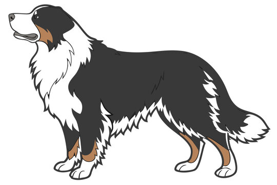 Bernese Mountain Dog Silhouette &ndash; Vector PNG, Transparent Background