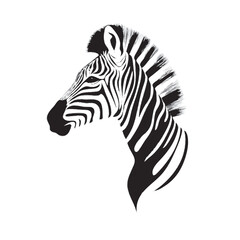 zebra vector illustration