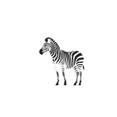 zebra vector illustration