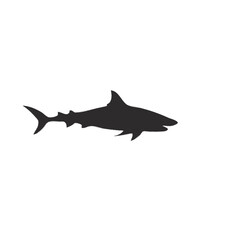 silhouette of a shark