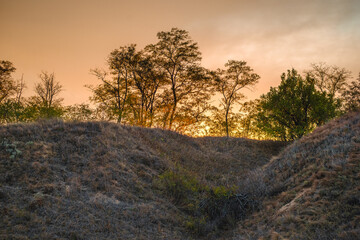 a dramatic view of a rolling, grassy hillside with scattered trees and bushes, backlit by a vivid orange and yellow sunset.