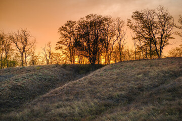 a serene, natural landscape with a rolling hill covered in golden and brown grass, silhouetted by the warm light of a vibrant sunset over a line of bare trees.