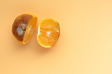 Old moldy tangerine citrus fruit cut in half. Concept of ugly on the outside, beautiful on the...
