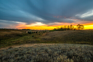 A vast, wide-angle landscape shot of dry grasslands leading up to a dramatic horizon of trees and a brilliant orange and yellow sunset.