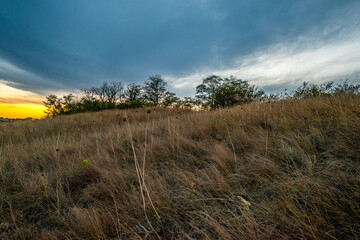 Gentle slope of dry and green grass, with a line of leafy trees on the ridge under a vibrant orange sunset and deep blue clouds.