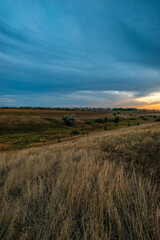 Wide landscape of a harvested sunflower field with a distant train on the tracks, illuminated by a vivid pink and orange sunset.