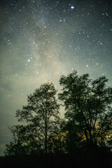 A breathtaking vertical shot of the milky way and countless stars, framed by the silhouettes of two large trees against a dark and cloudy night sky.
