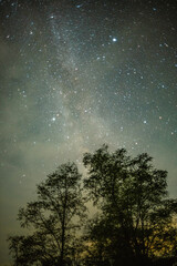 A breathtaking vertical shot of the milky way and countless stars, framed by the silhouettes of two large trees against a dark and cloudy night sky.