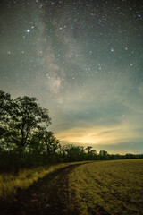 A mesmerizing night scene with a dirt path winding through a field, leading toward a line of trees under a starry sky with the milky way clearly visible.
