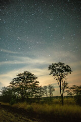 Starry summer night over a field with a treeline at sunset, clouds illuminated by city lights.