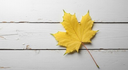 A Single Yellow Maple Leaf Rests on a White Wooden Surface.