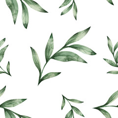 Seamless watercolor pattern with green tree branches. White background. Hand drawn. For wrapping paper, packaging, textiles. Botanical design. Plant illustration.