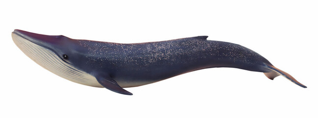 A majestic blue whale gracefully glides through the ocean waters creating ripples on the surface its enormous body a testament to the wonders of marine life and the importance of ocean conservation	