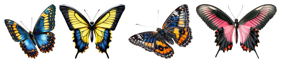 Naklejka premium PNG Colorful butterflies in flight, element set on transparent background