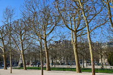 パリのとても美しい街並み風景