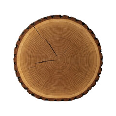 Obraz premium Close-up of a tree trunk cross-section, showing annual rings and a slightly irregular edge