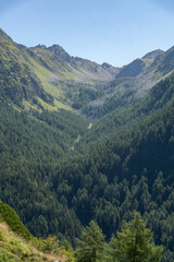 Naklejka premium Val Trevesina