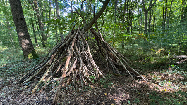 A primitive survival shelter or children's den, handmade from sticks and branches in a lush green forest