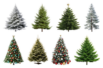 Obraz premium PNG Diverse festive Christmas trees displayed, element set on transparent background