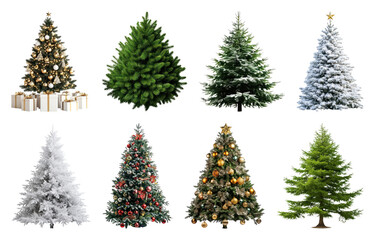 Fototapeta premium PNG Diverse festive Christmas tree collection, element set on transparent background