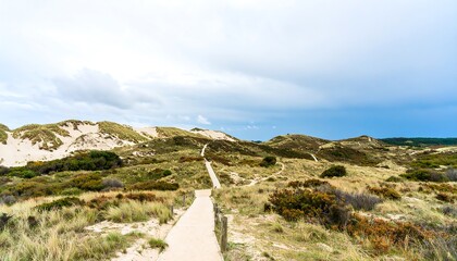 Sandy path winding through dunes under a cloudy sky