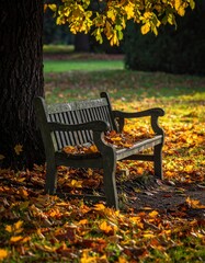 Verlassene Gartenbank