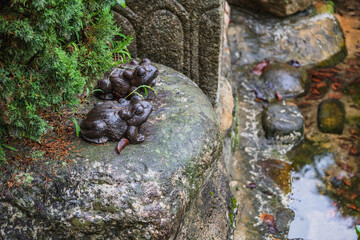 Wet from dew, stone frogs sit on stone and look at the water. Decorative decoration of the pond as an element of landscape design. Beautiful photo with close -up