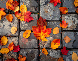 Top view of scattered autumn leaves forming natural abstract pattern on stone pavement, cinematic soft light, 8k