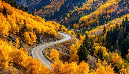 Autumn Road Winding Through Golden Aspen Trees