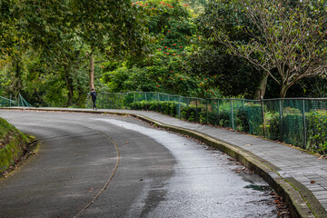 Quiet Pathway in Los Lagos Park, Xalapa, Veracruz, Mexico