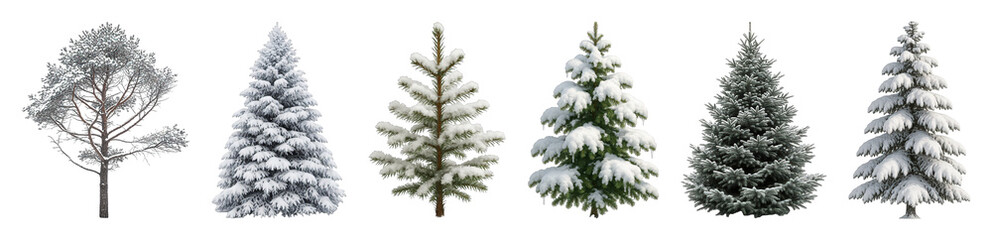 Fototapeta premium Winter trees set including various snow-covered, frosted, and evergreen species isolated. Seasonal nature and landscape elements.