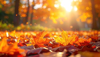 Autumn Leaves Covering the Ground with Sunlight Through Trees in Warm Tones and Bokeh Effect in a Forest Scenic