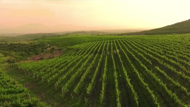 Digital video file icon with text overlay indicating video content