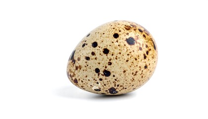 Quail egg, speckled