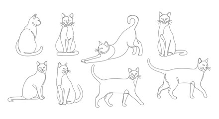 A collection of eight distinct line drawings of cats in various poses, showcasing their elegant forms and graceful movements.