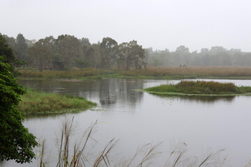 Trees, grass, water and bird hide on a rainy day at the Tyto Wetlands in Ingham, Queensland,...