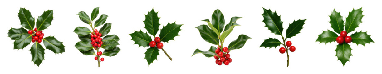 Fototapeta premium Holly sprig set including various arrangements of red berries and green leaves isolated. Christmas and holiday decoration collection.