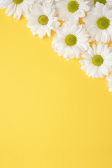 Daisy flowers on pastel yellow background. Vertical template for greeting card. Selective soft focus and copy space