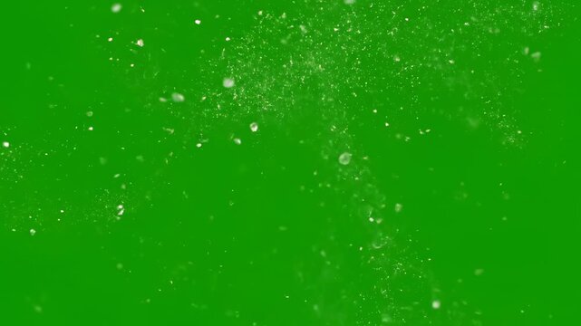 Organic green leaf-like particles gracefully drifting and swirling in a gentle breeze, isolated on a solid green screen light, clear, high quality