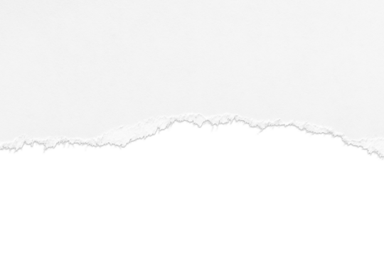 Torn white paper border with drop shadow isolated on background
