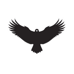 Obraz premium A majestic eagle, with wings outstretched, is a powerful silhouette against a white background, symbolizing freedom and wild nature