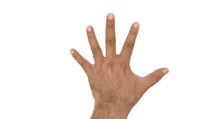 Male hand showing five fingers, back view of hand palm. Isolated on white background