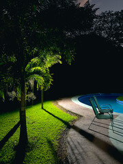 A nighttime scene featuring a palm tree lit by artificial light beside a curved swimming pool.