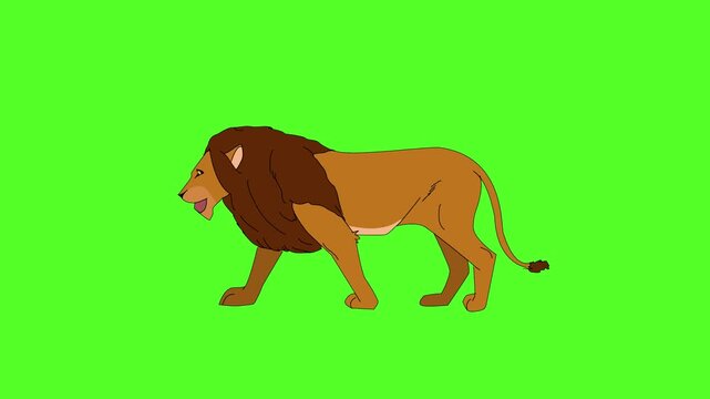 cartoon lion walking green screen