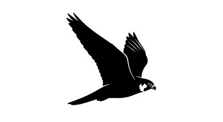 Obraz premium Majestic Silhouette of a Falcon in Flight Against a White Background