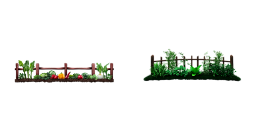 Fresh garden vegetables and lush greenery with wooden fence, cut out